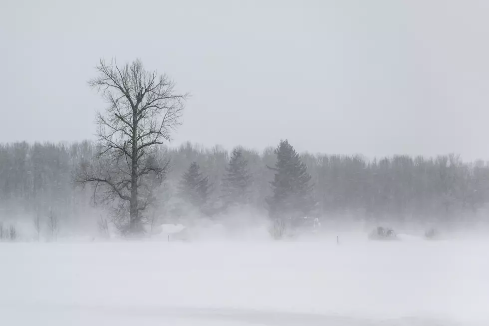 Farmers' Almanac 2026 Winter Forecast For South Dakota