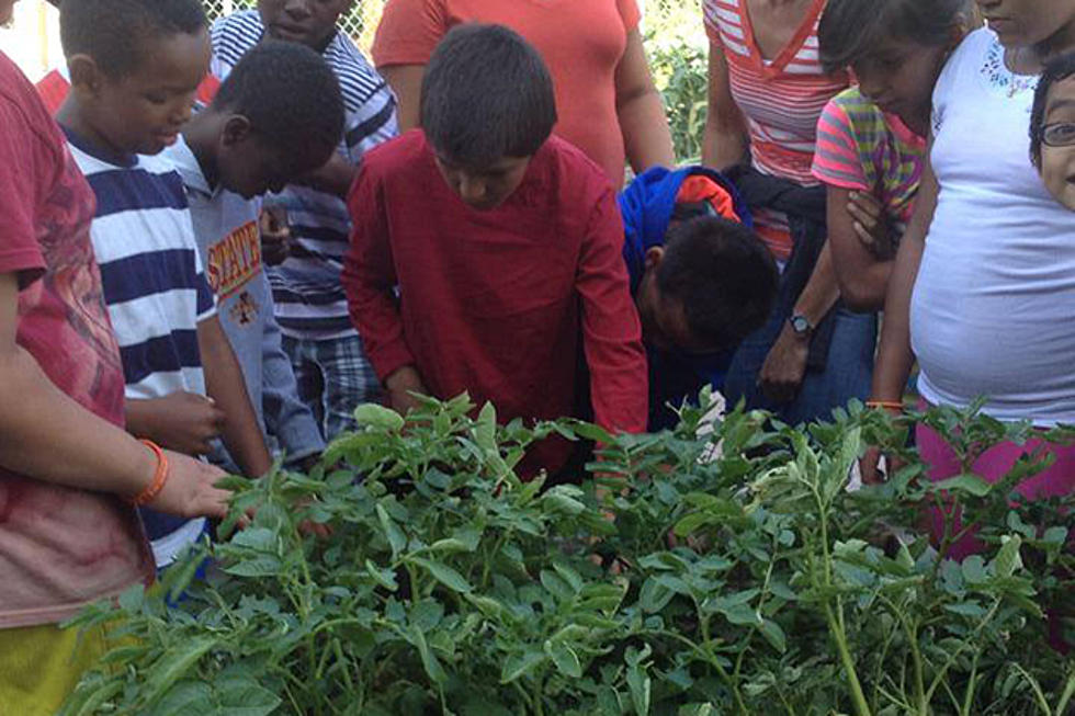6th Annual Ground Works Harvest Festival is Saturday, September 20 – See What Your Kids Have Been Growing!