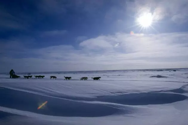 The 24th Annual Can-Am Crown International Sled Dogs Races This Weekend In Fort Kent