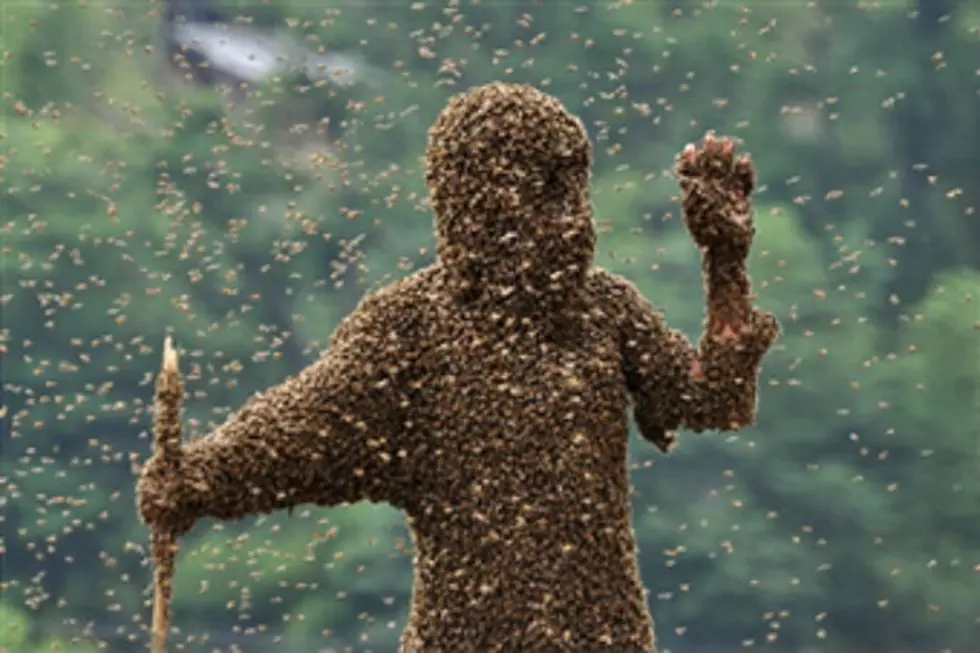 African Bees Attack, Kill one Man and Injure a Woman