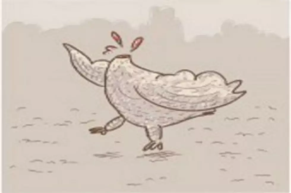 Mike the Headless Chicken Lives for 18 Months