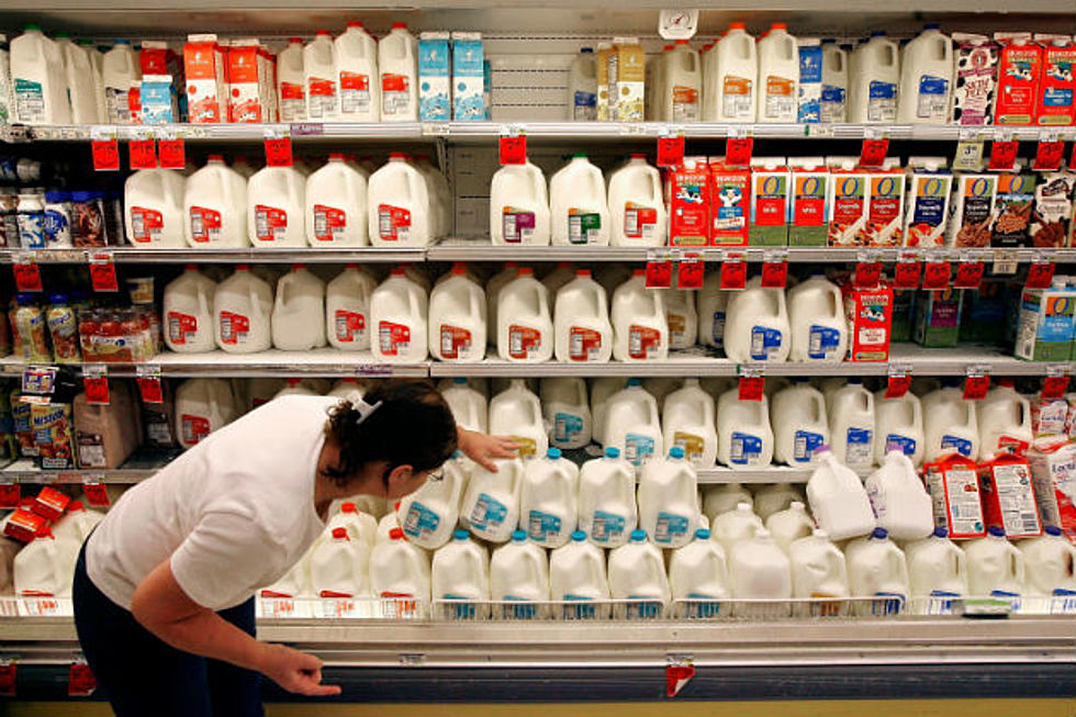 Milk Prices Are Going Up. Where Can You Buy Milk Direct From the Farm Instead?
