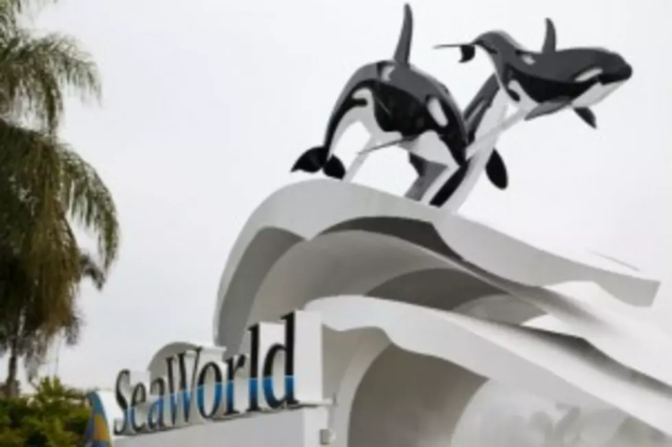 Martina McBride Cancels SeaWorld Show