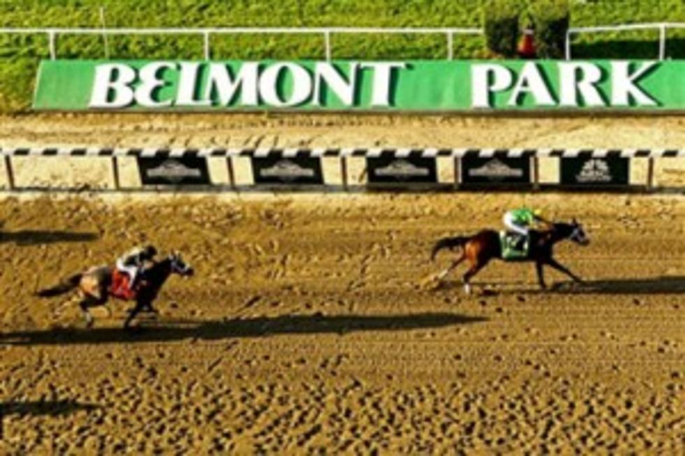 Tragic Accident at Belmont Race Track Kills Two Horses