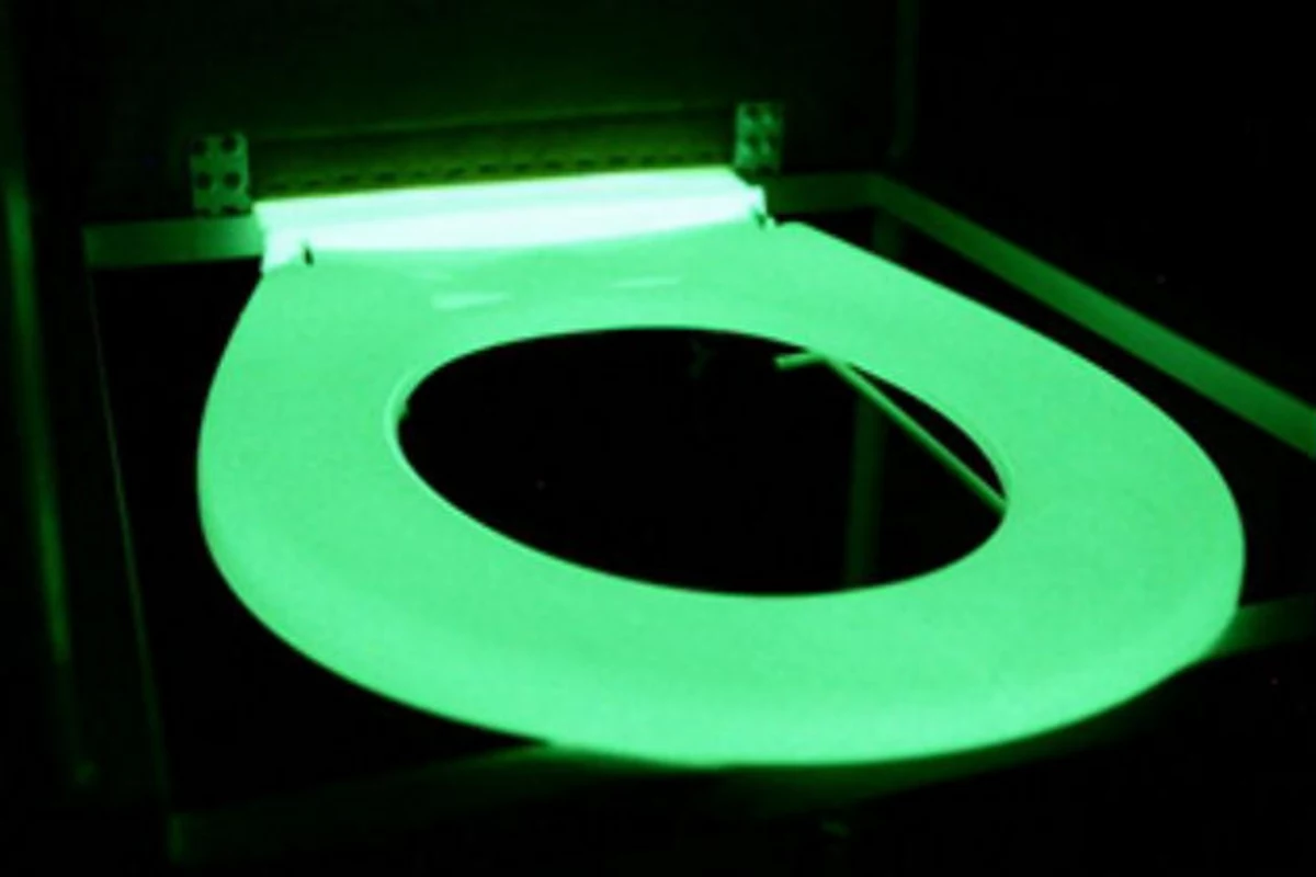 A Glow in The Dark Toilet Seat!. It's the small things in life