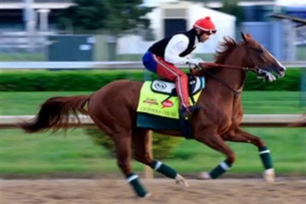 California Chrome an Inexpensive Horse That Wins the Derby