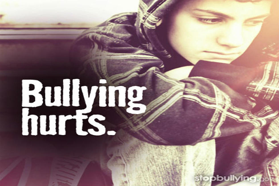 Stop Bullying.  Seriously.  Just Stop