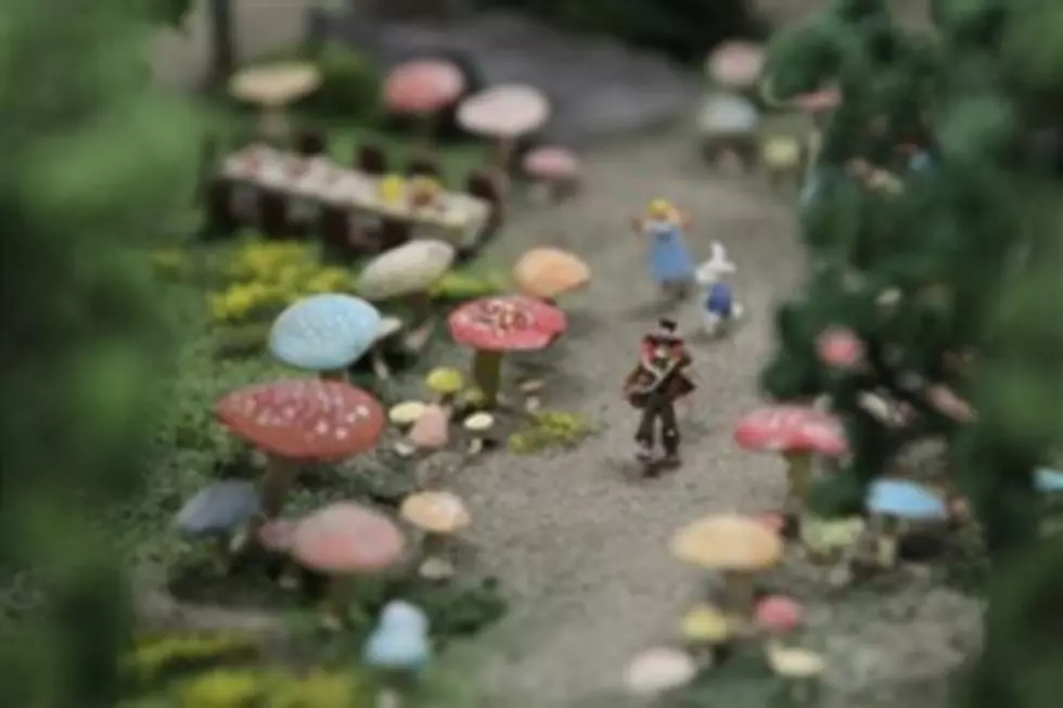 Magic Mushrooms Found In Queen&#8217;s Garden