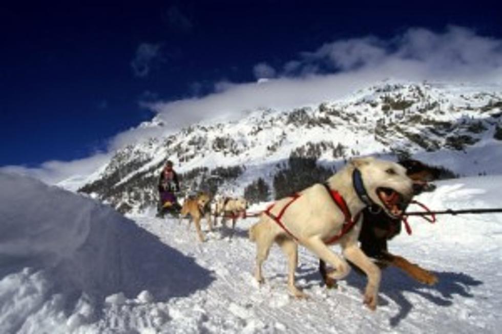 Can Am Crown Dog Sled Race Coming to Fort Kent