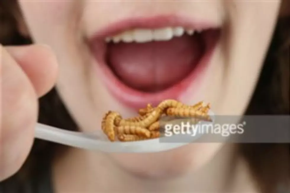Auburn Student Eating Bugs For Every Meal