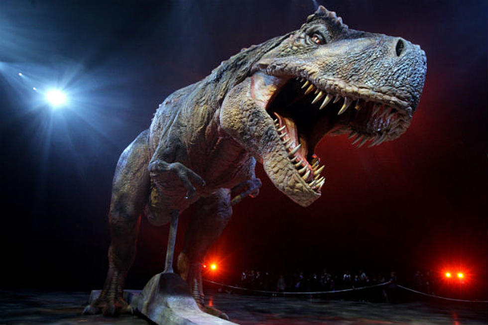 Chris Pratt of Jurassic World Pranked With Dinosaur