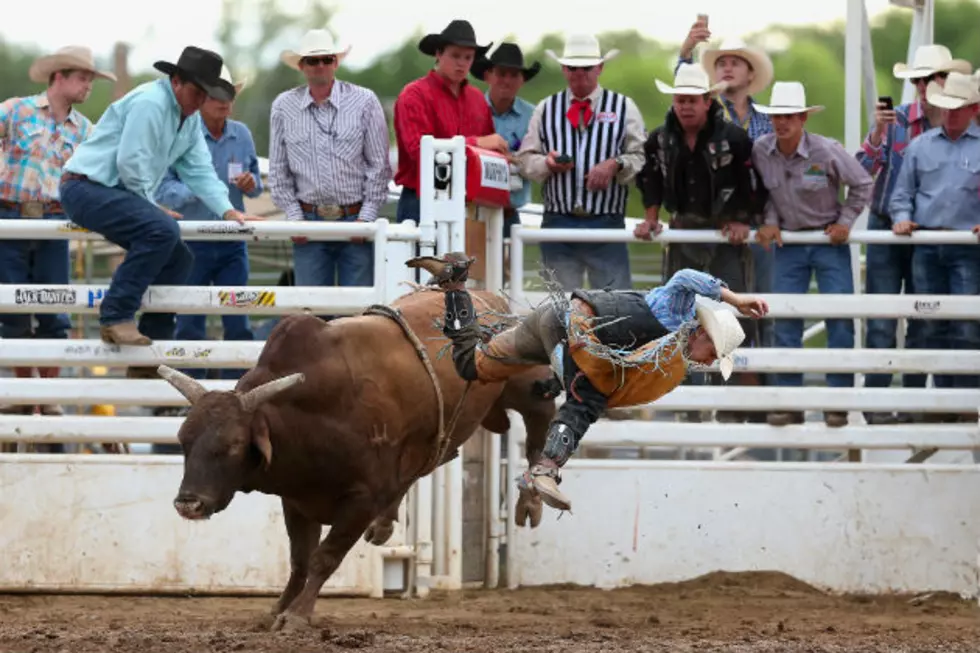 Want to be a Boots n Bulls Rodeo Bull Rider? Not as Easy as You Think