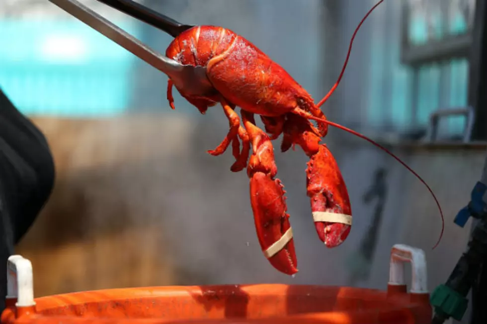 Lobster etiquette