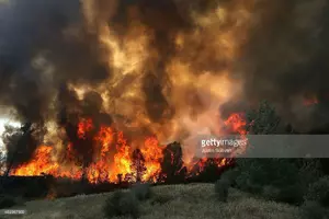 Fire Burns 4 Acres On Sheep Island