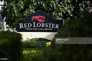 No Red Lobster in Maine But Popular Elsewhere Thanks to Beyonce