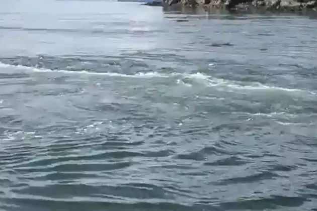 Maine Has The Largest Tidal Whirlpool In the Western Hemisphere