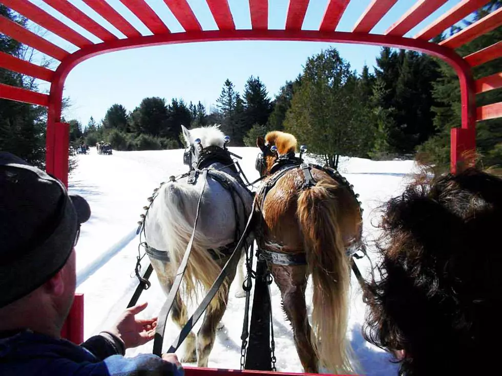 Winter Family Fun Day In Canaan At Ring Farm This Saturday (FEB 25)