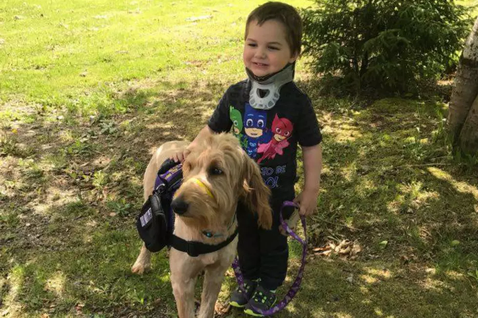 Local Maine Boy Meets His Service Dog, Jedi, For The First Time &#8211; Thanks To Make A Wish