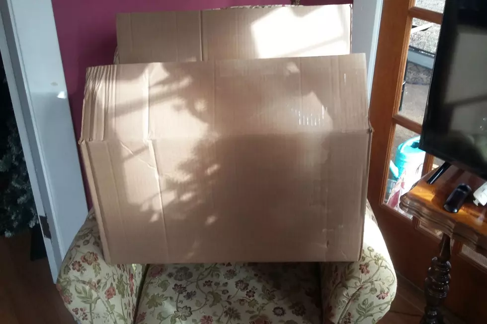 Do You Think This Box Is Too Big For One Item?