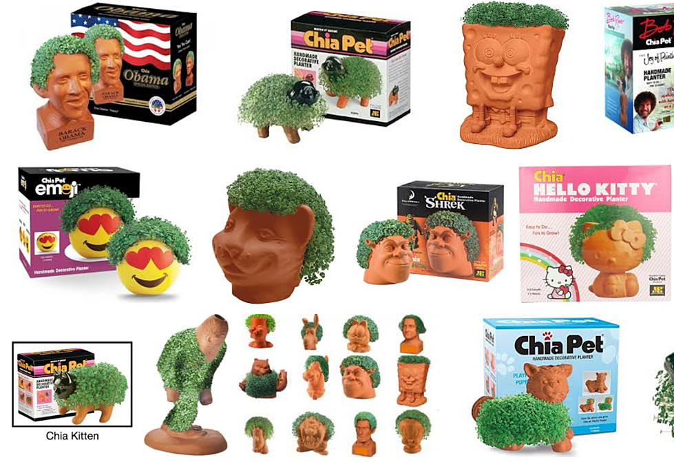 https://townsquare.media/site/488/files/2017/12/chia_pets.png?w=980&q=75