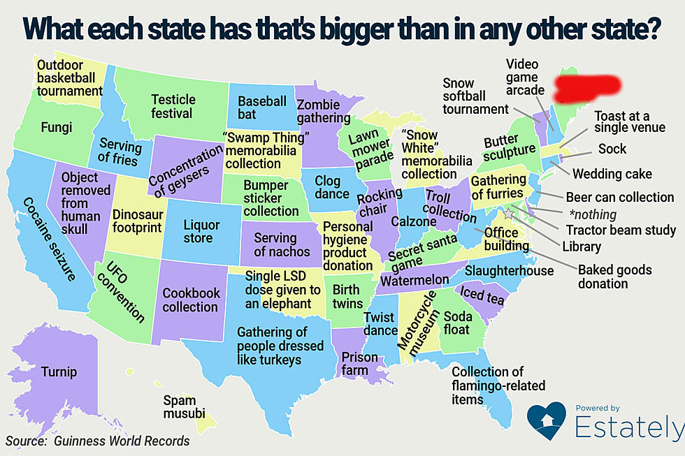 Ours Is Bigger Than Yours: What Each State Has That’s BIG