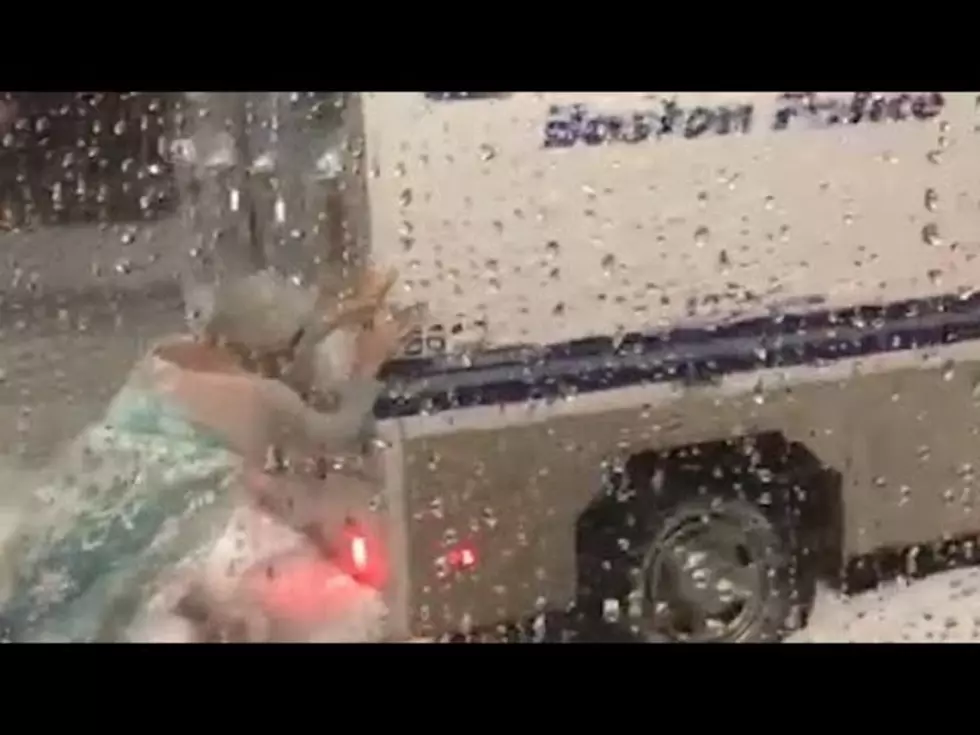 Rugged Elsa Pushes Vehicle Out Of Snow In Boston