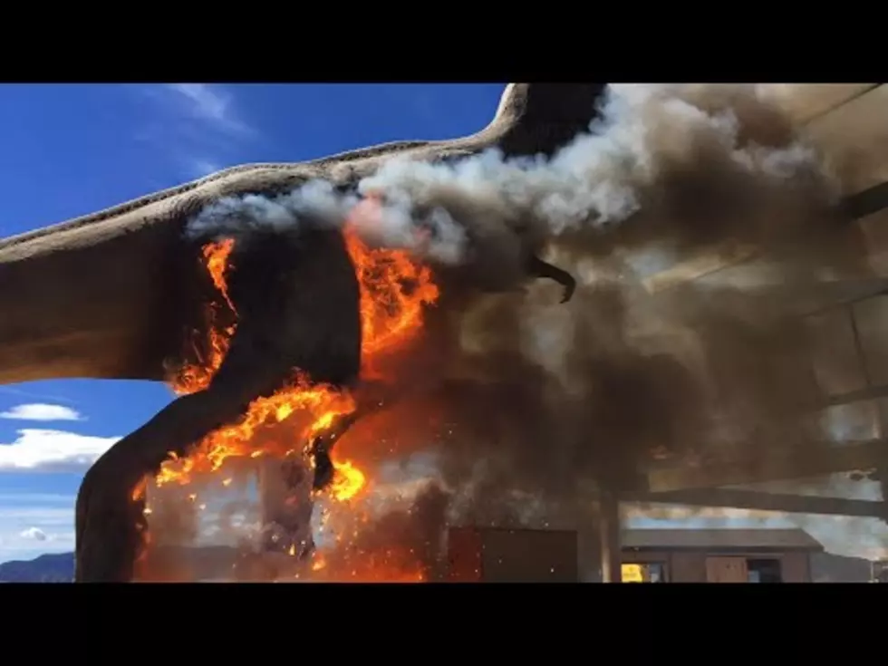 T-Rex Goes Up in Flames