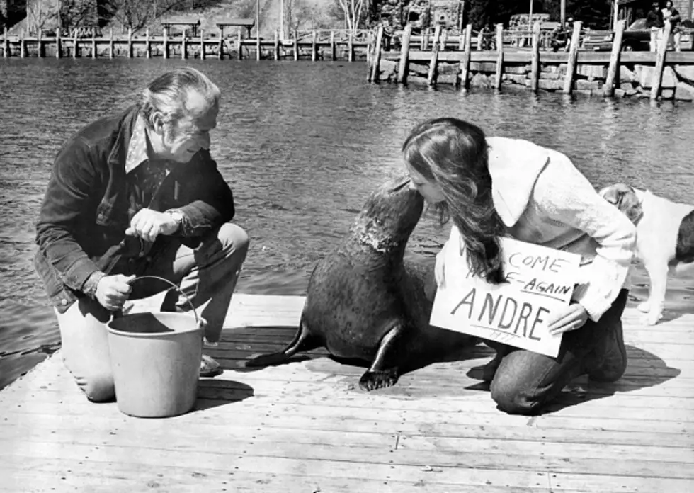 The True Story Of Andre The Seal