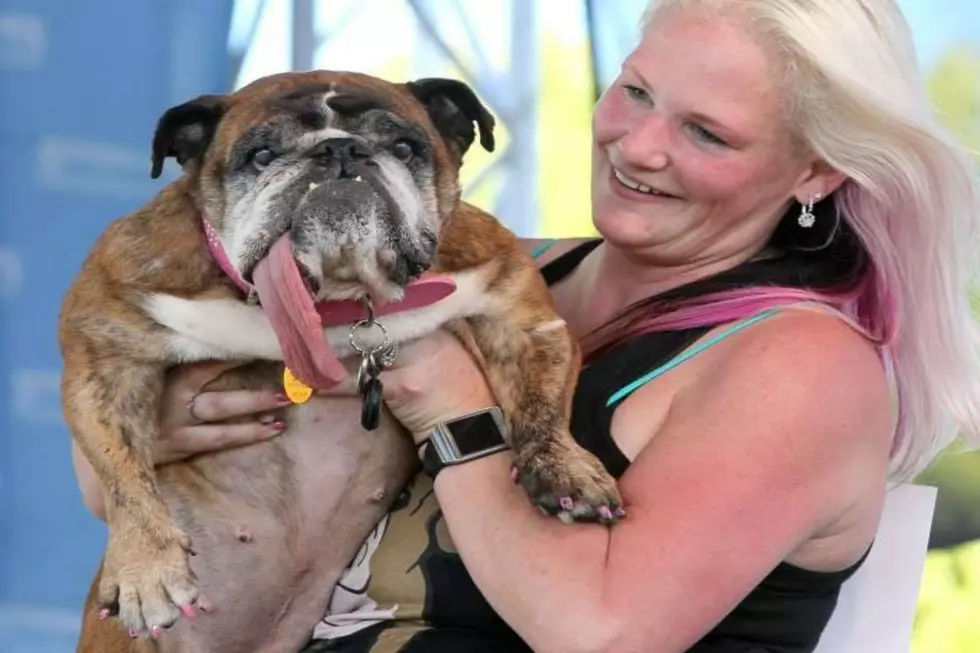 World&#8217;s Ugliest Dog Winner Dies