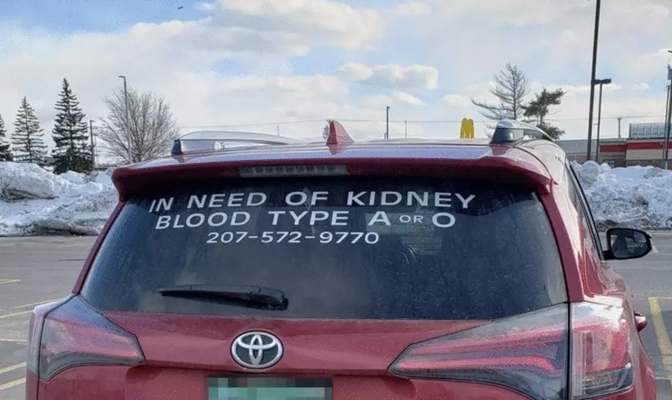 To the Woman Advertising Her Need for a Kidney in South Portland