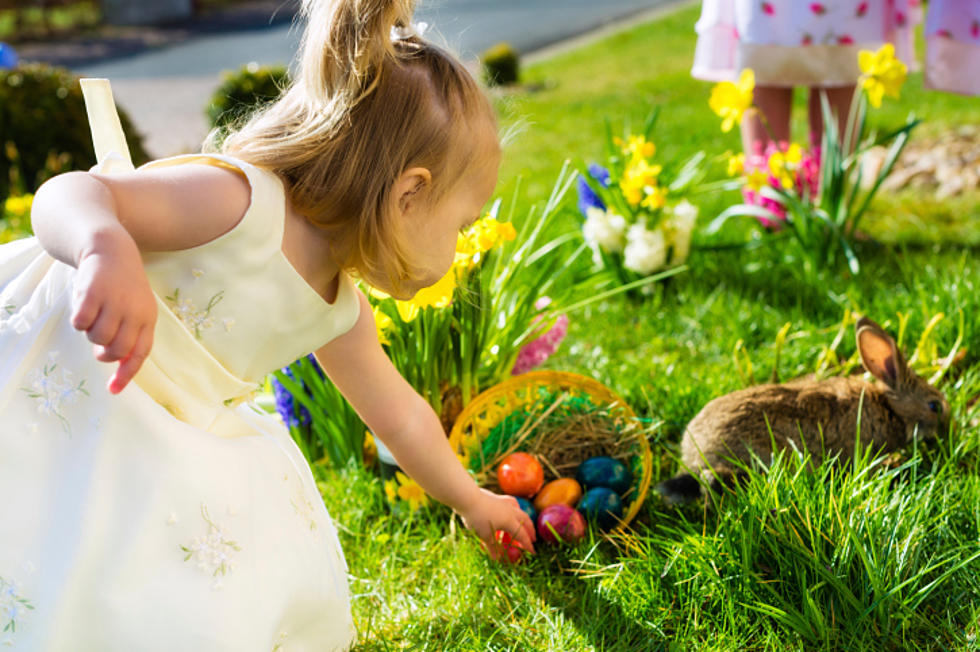 Free Easter Egg Hunt In Vassalboro On Saturday