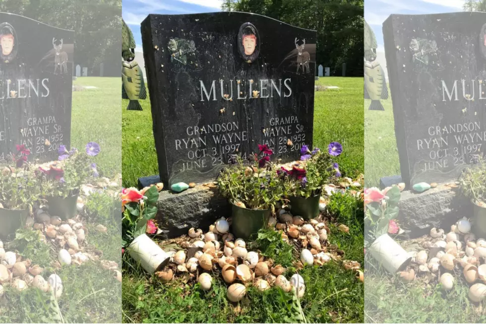 Whitefield Teen's Gravestone Egged-Reward Offered for Information