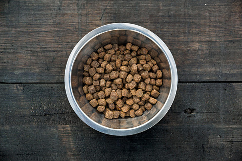 FDA Releases Warning About Dangerous Dog Foods