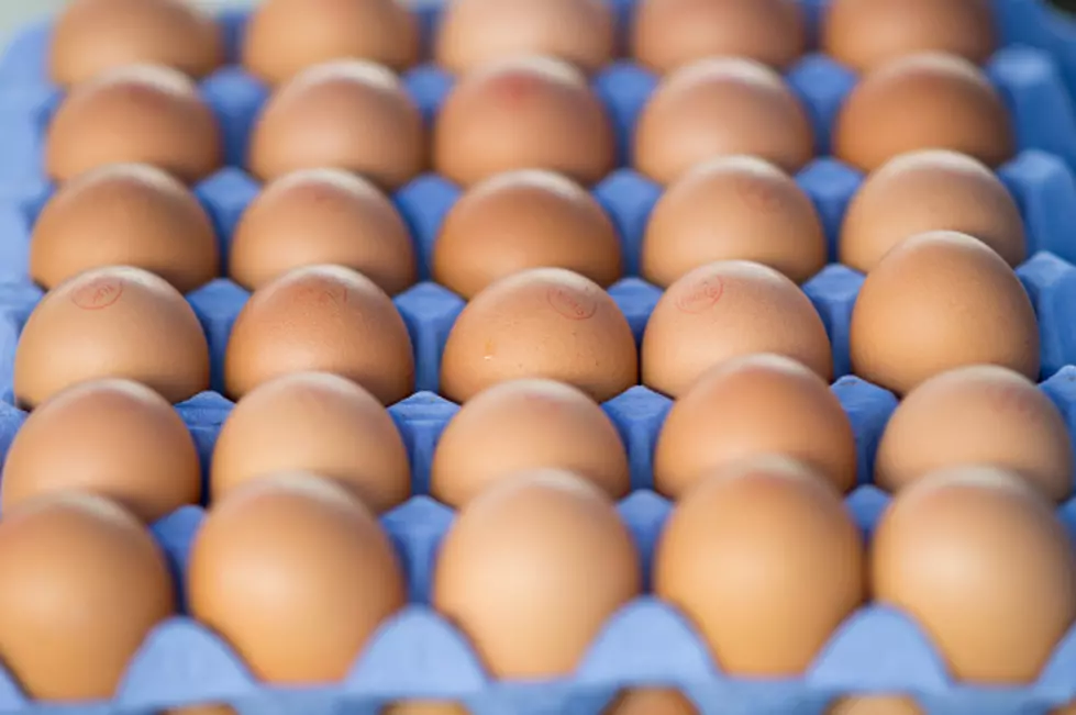 First Fake Meat, Now Fake Eggs!