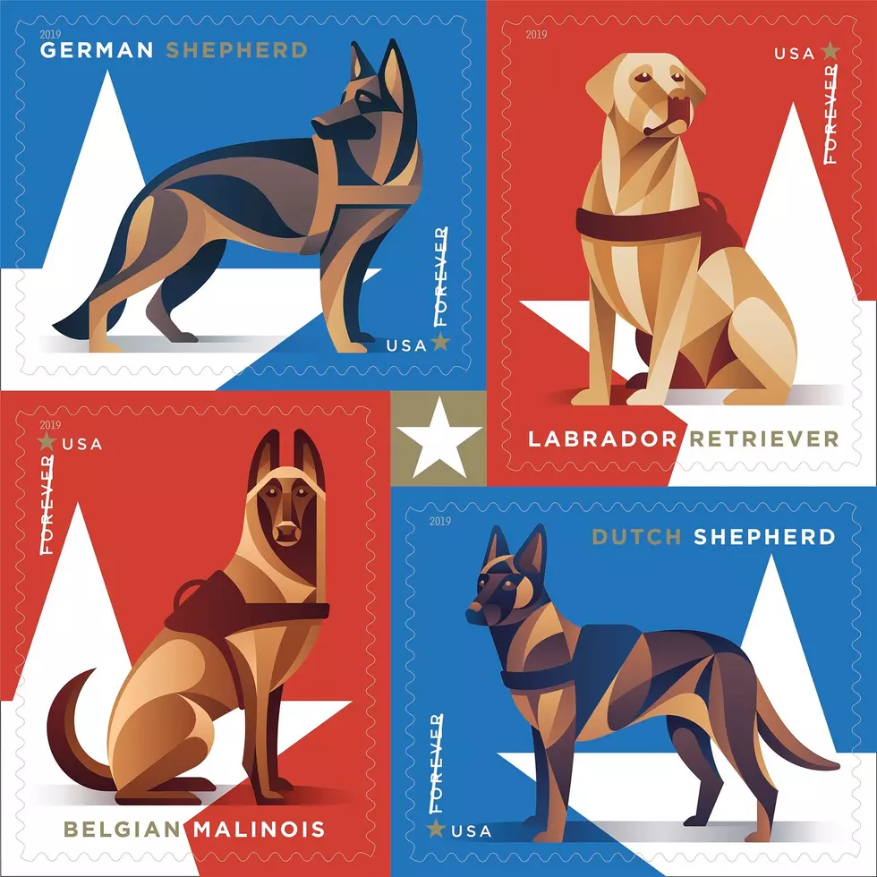 USPS Releases New Forever Stamps Honoring Military Dogs