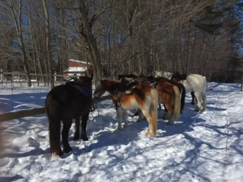 Winter Trail Ride Helps Take The Edge Off