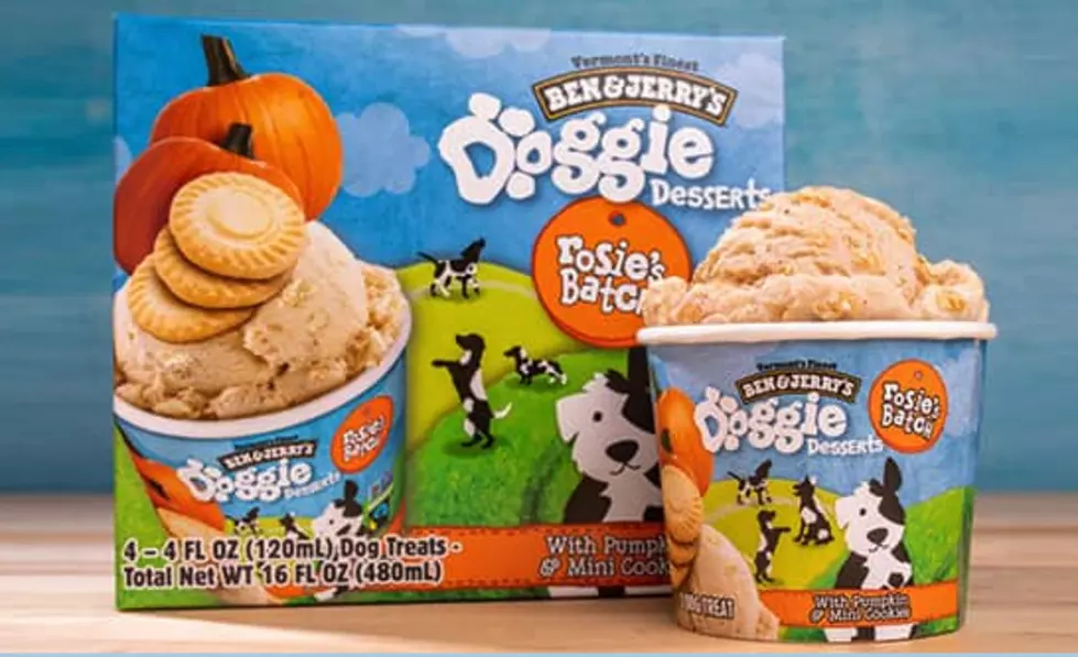 Ben & Jerry’s Doggie Desserts Are Here