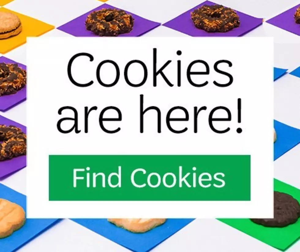 How To Get Cookies And Support Maine Girl Scouts