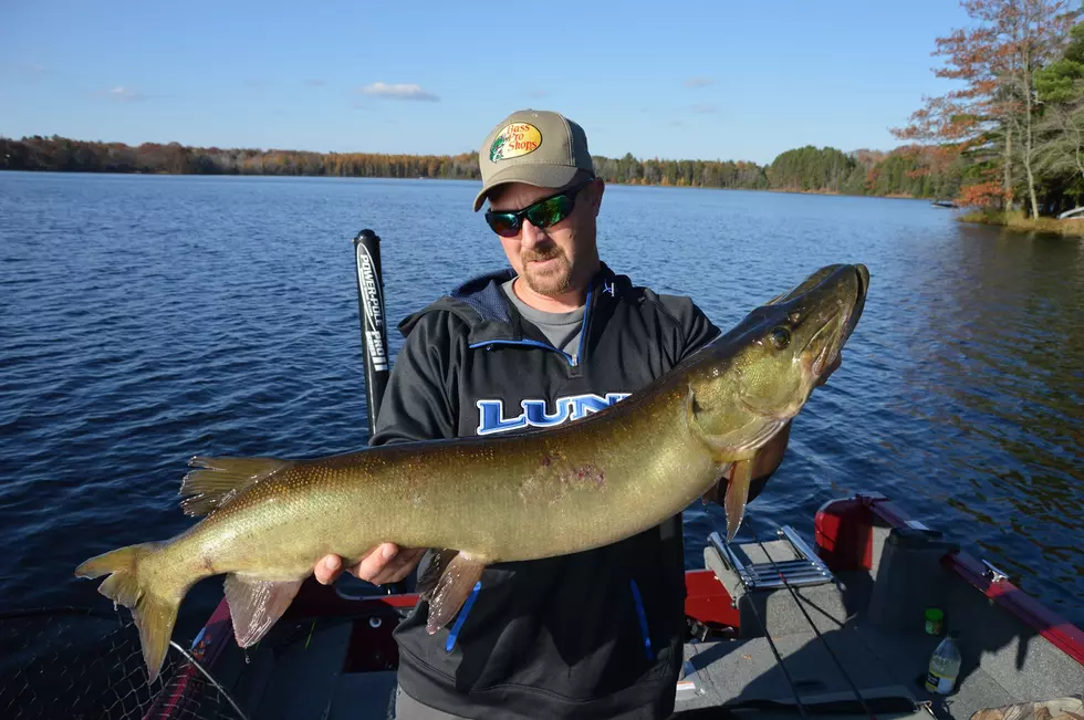 Why Mid-Maine Marine Thinks Now Is the Best Time to Buy a Boat