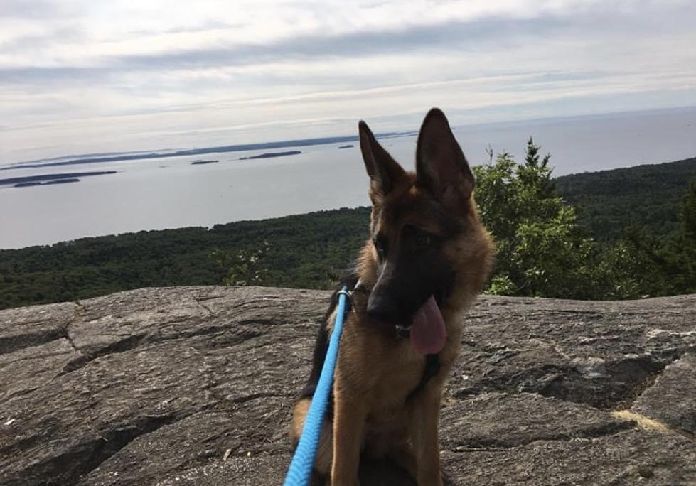 Check Out Bald Rock Mountain Trail In Lincolnville