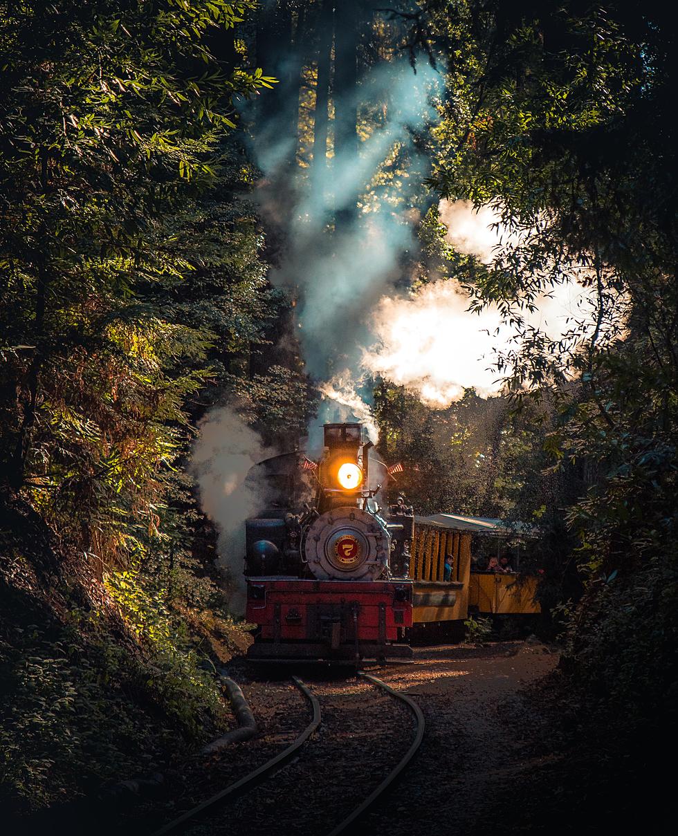 Choo Choo! All Aboard The DownEast Scenic Railroad Pumpkin Train