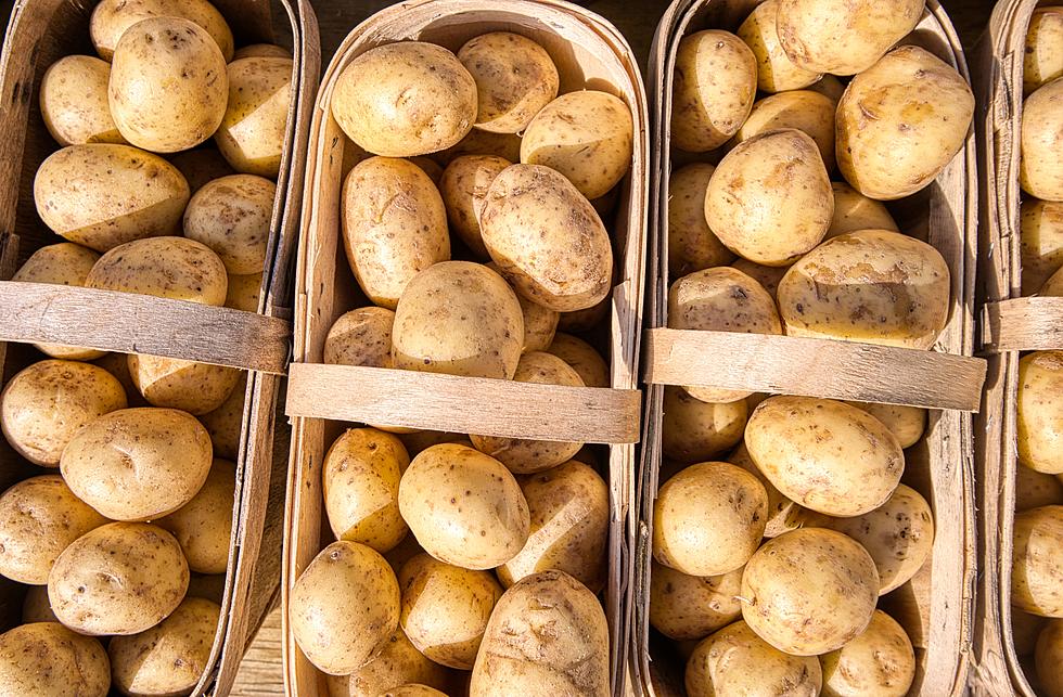 The Infamous Maine Potato Is Making A Comeback!