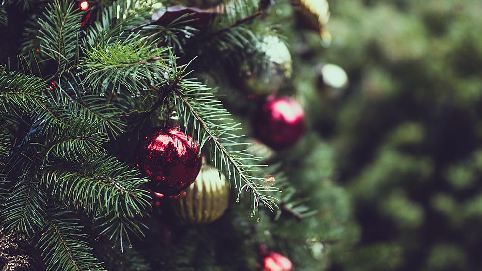 Augusta Elks Club To Host Festival Of Trees