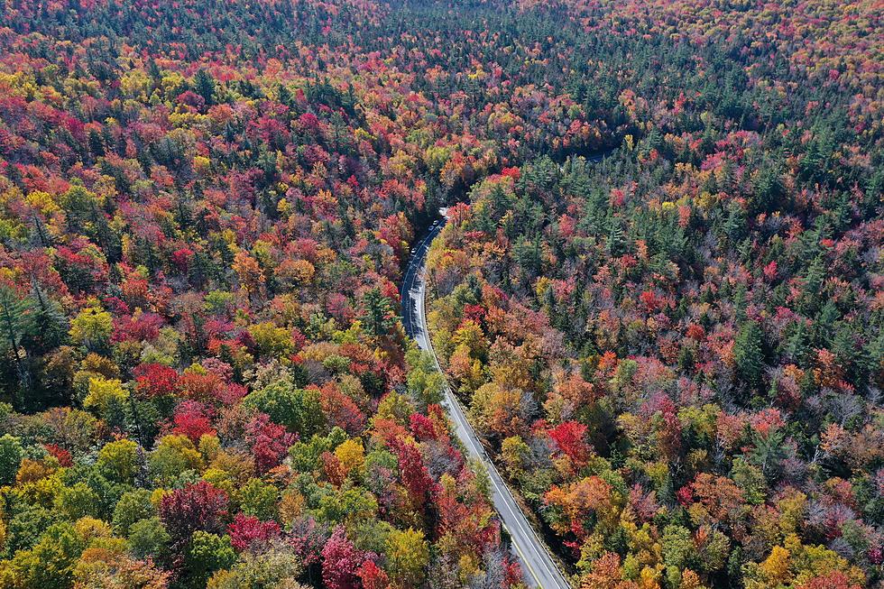 Here’s How You Can View New England’s Fall Foliage Via Helicopter