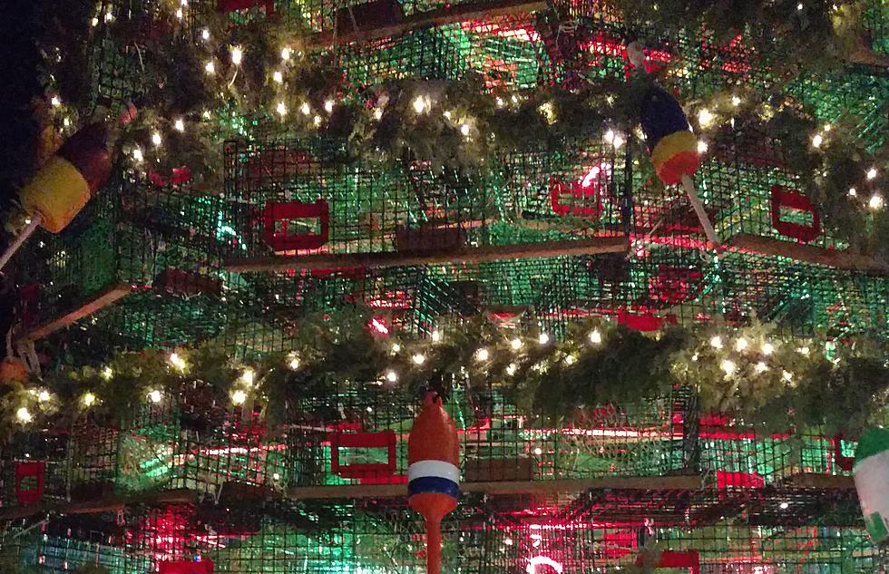 See A Lobster Trap Christmas Tree At Rockland’s Festival of Lights