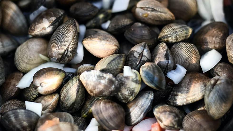 Yarmouth Clam Festival Will Make A Comeback In 2022