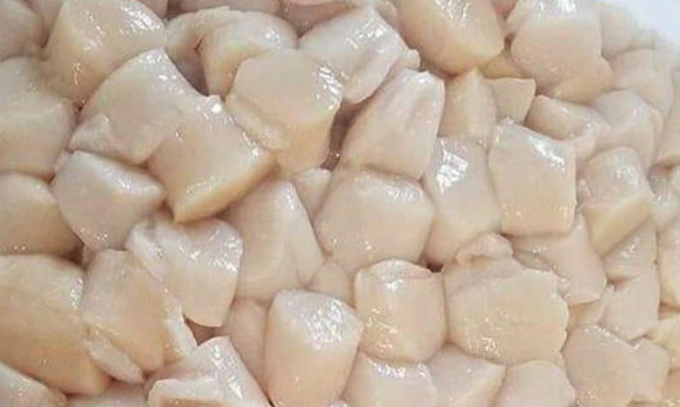 Tis The Season For&#8230;.Fresh Maine Scallops!