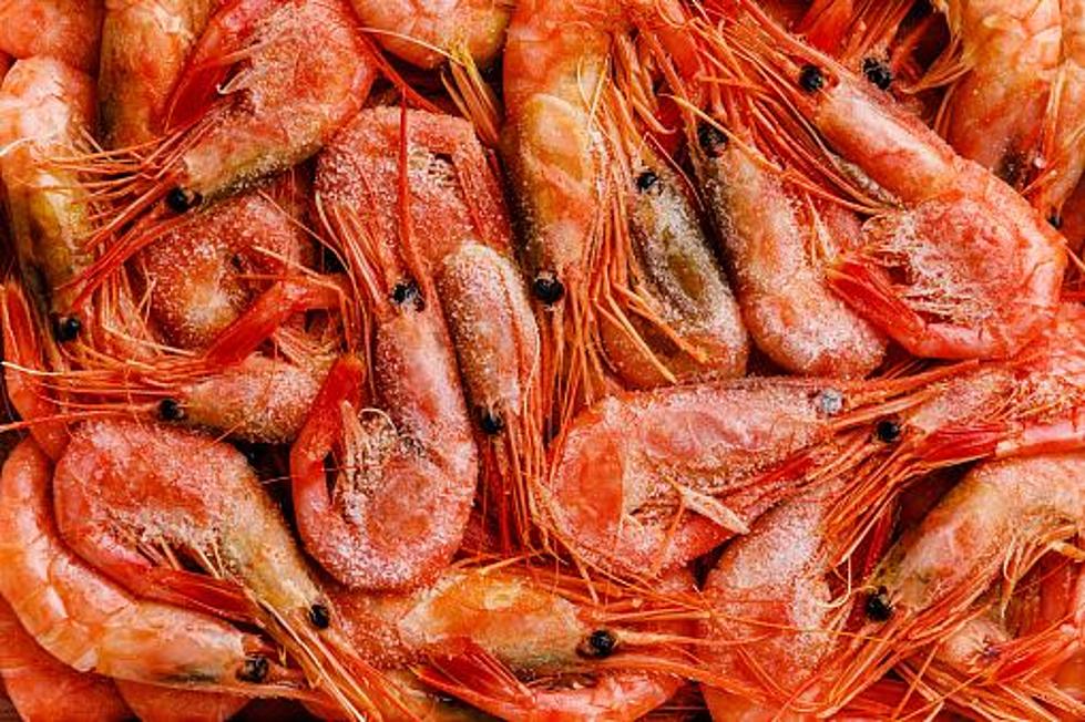 Maine Shrimp Season To Remain Closed For At least 3 More Years