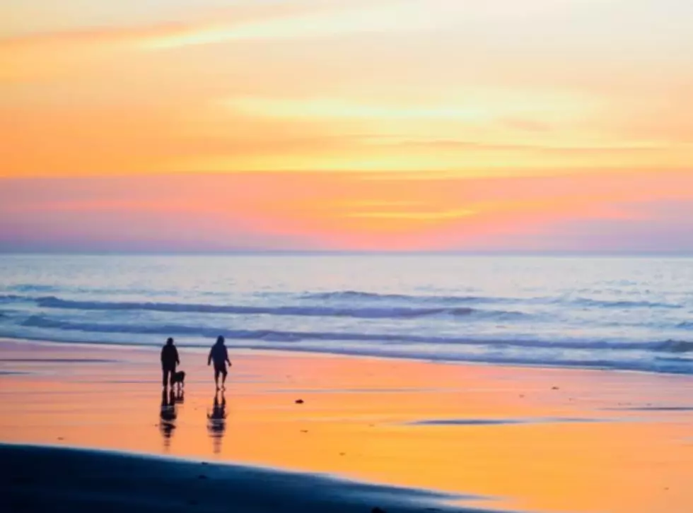 Maine DEP Says 5 Maine Beaches Are Contaminated With Bacteria