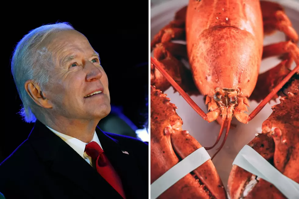 Maine Lawmaker Calls Out President Biden Over Fancy Lobster Dinner